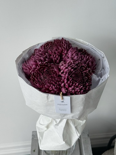 Моно из одноголовой хризантемы сливового оттенка 5 шт