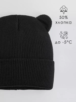 Шапка детская с ушками осенняя