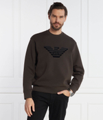 Худи Emporio Armani - коричневый(6R1MG7 1JHSZ)