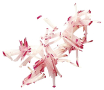 Набор дисков Robot Coupe Multicut 2022W Mineral+ (16 дисков)