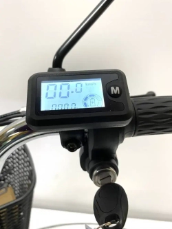 Электровелосипед Green Camel Транк 20 V8 40км