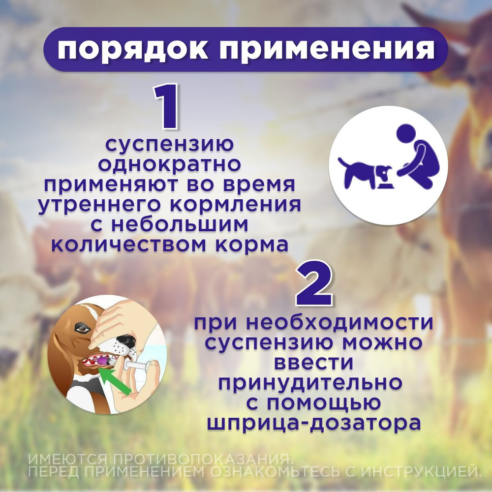 Суспензия для щенков и сельхоз животных для лечения и профилактики кокцидиозов Аписенна СТОП-КОКЦИД 100мл, Толтразурил 50мг