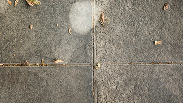 Весенняя очистка тротуарной плитки от высолов и пятен