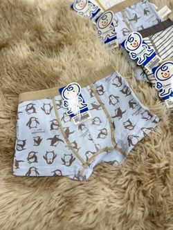 Боксер МАЛЬЧИК М1602