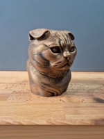 Шотландская вислоухая кошка