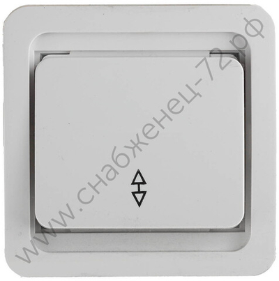 СВЕТОЗАР Гамма, проходной одноклавишный без подсветки цвет белый 10А/~250В, Электрический выключатель (SV-54137-W)