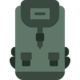 Kiwidition