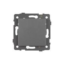 Механизм выключателя одноклавишный проходной SWT-MKP1-PL-GR-V (250V, 10A) (Arlight, -) 049873