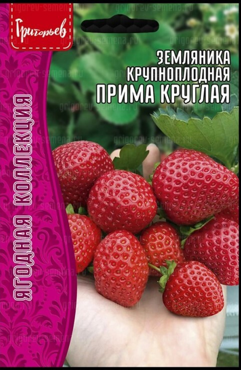 Земляника крупноплодная Прима круглая (СЕМЕНА)