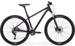 Горный велосипед Merida Big.Nine 300 (2021)