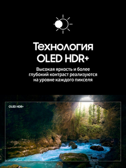 Телевизор Samsung QE65S90DAUXRU