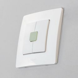 Citilux Смарт-Пульт CLR4W Радиовыключатель двухклавишный Белый