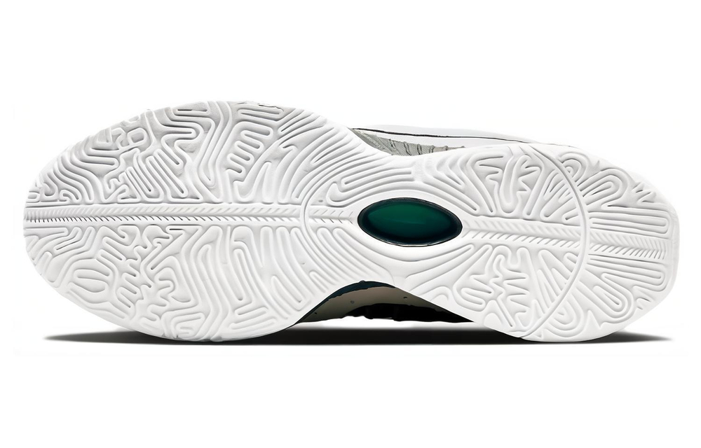 Кроссовки Nike Lebron 21 "Conchiolin" Ep
