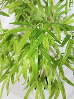 Искусственное дерево Бамбук светло-зеленый 90см в кашпо