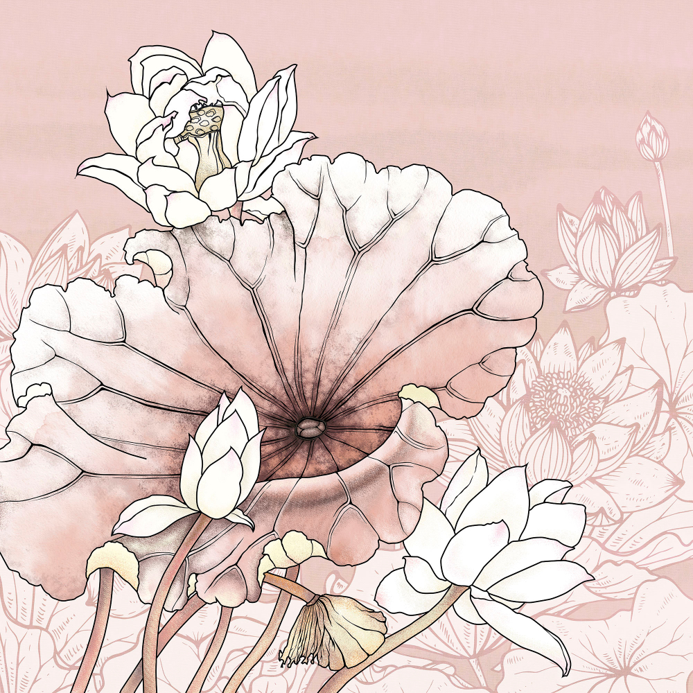 Коллекция Grafika Natura