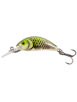 Воблер тонущий Salmo HORNET S 03.5/HGS