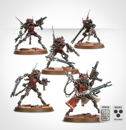 Sicarian Ruststalkers / Infiltrators