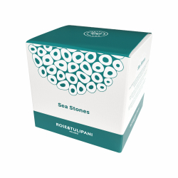 Rose&Tulipani - Набор тарелок Sea Stones на 6 персон (18 штук) / артикул   R18420TA18  / GTIN 8018594569232