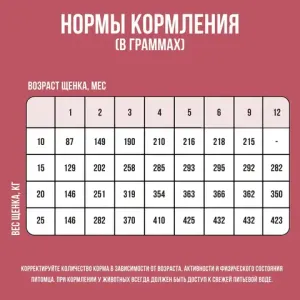 Сухой корм BOWL WOW для щенков средних пород собак с индейкой, рисом и добавлением клюквы