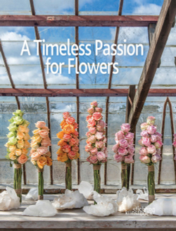A timeless passion for flowers