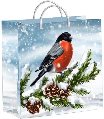 Подарочные пакеты "Снегирек" 30х30+10см 150мкм (1/40шт)