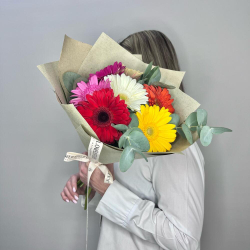 Солнечные герберы