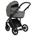 Детская коляска Roan Bass Next 2 в 1 RN027/1 Titanium