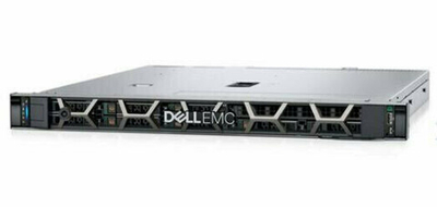 Сервер Dell PowerEdge R350 (210-BBRU)