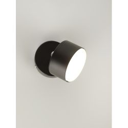 Светильник настенно-потолочный спот Rivoli Alesta 7079-701 1хGX53 15 Вт поворотный | Rivoli