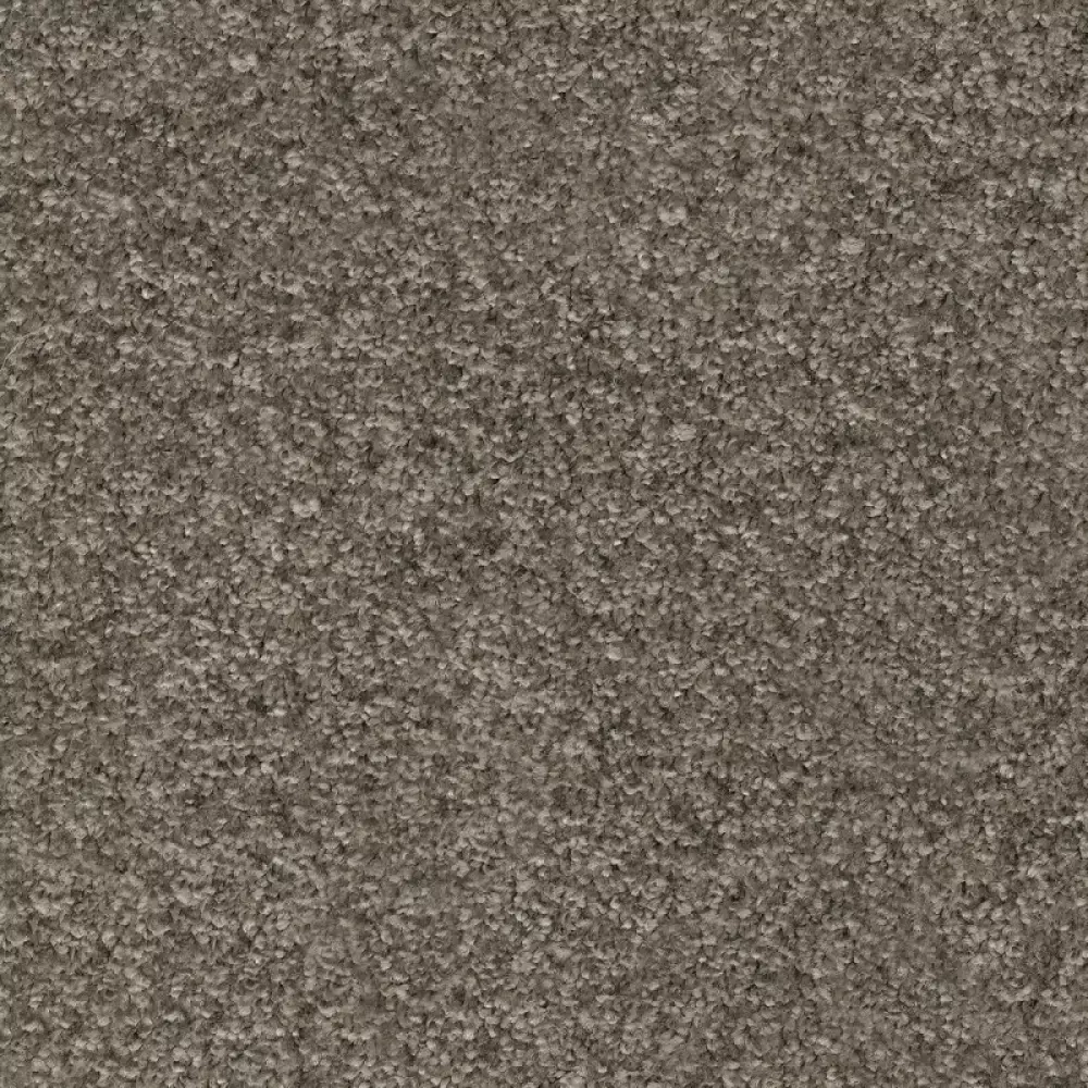 Ковровое покрытие AW Gaia Equator 97
