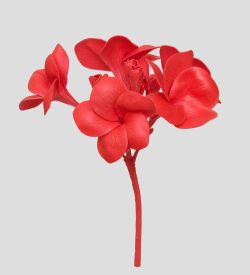 TR 614HM1 Плумерия 5 бутонов без листьев