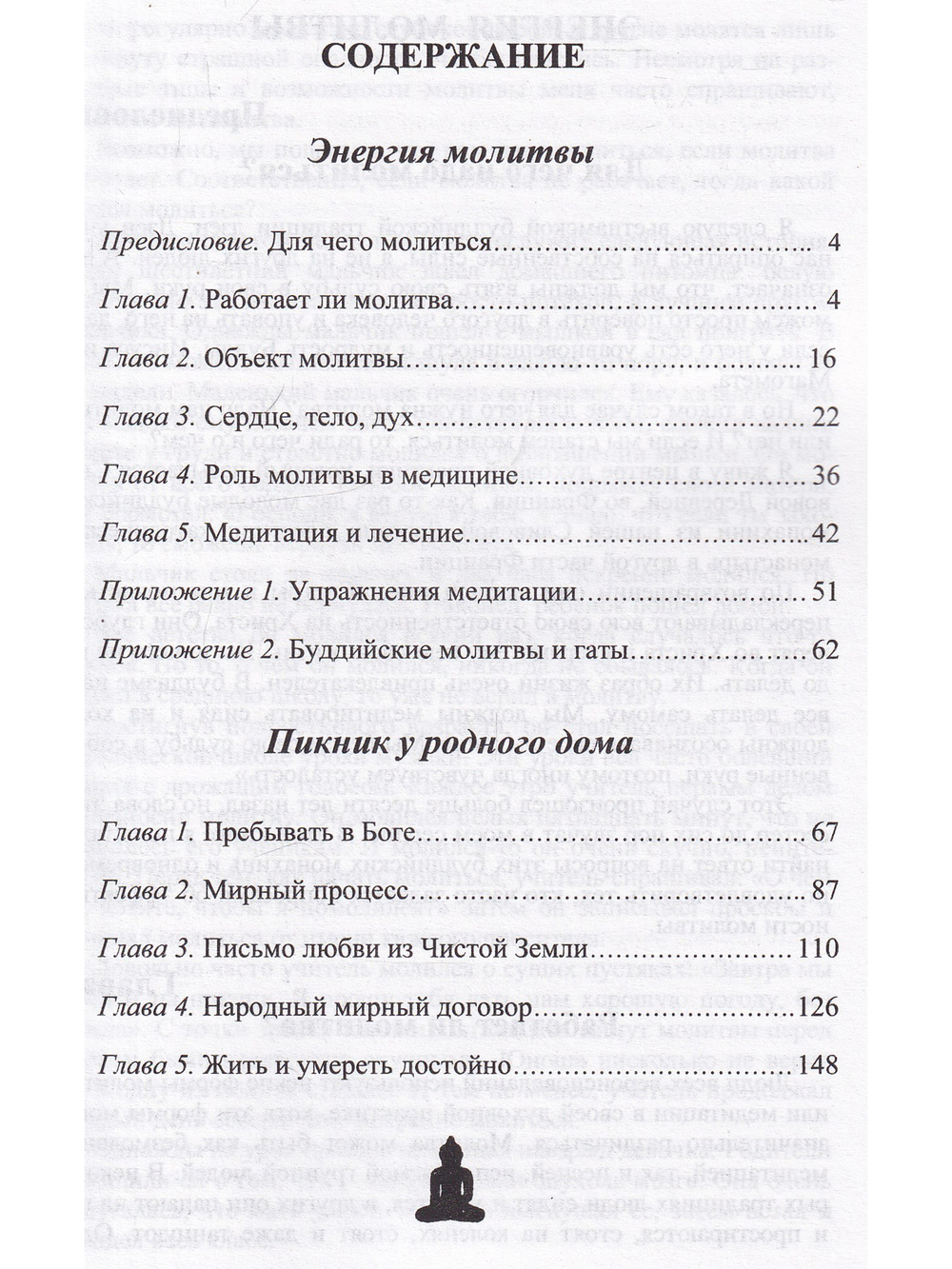 Энергия молитвы.Пикник у родного дома.Библиотека буддиста Том 20.