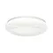 7686/DL PALE SN 204 Светильник пластик/белый LED 48Вт 3000-6000К D380 IP43 пульт ДУ HIMAR
