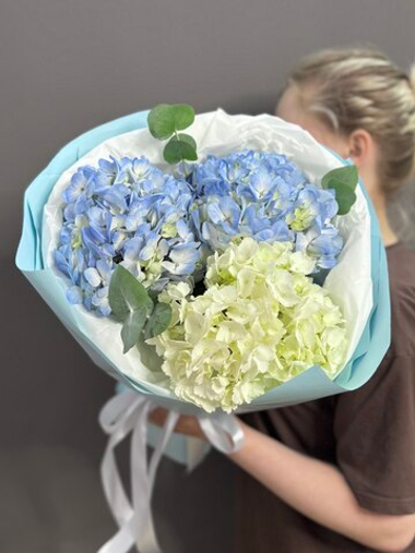 Букет из 3 гортензий микс с веточками эвкалипта