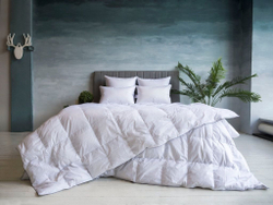 Подушка пуховая 50x68 German Grass Gray Familie Down мягкая