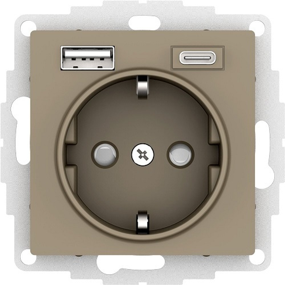 Розетка с заземлением с 2 USB  Systeme Electric ATN000532