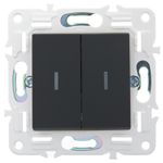SKANDY Выключатель 2-клавишный 10А SK-V04G графит IEK