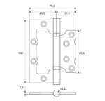ПЕТЛЯ НАКЛАДНАЯ APECS 100*75*2,5-B2-STEEL-GRF