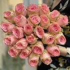 Софи Лорен 60 см