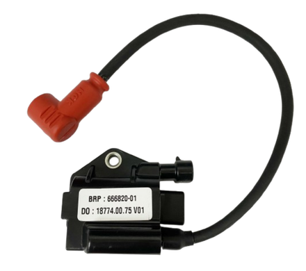 Катушка зажигания Rotax Evo