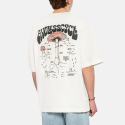 Футболка Haided ENDLESS CYCLE RLXD HW TEE ecru