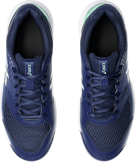 Кроссовки мужские Asics Gel-Dedicate 8 Clay, арт. 1041A448-401