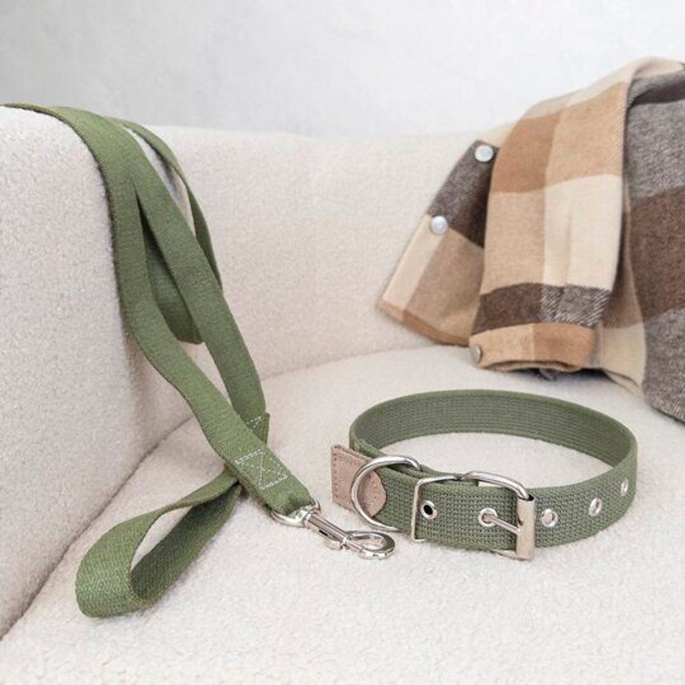 ДАРЭЛЕНД серия COTTON Поводок брезентовый плотный для собак 25 мм (импортный карабин)