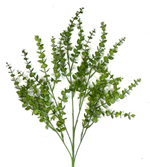 Самшит ветка 77 см