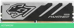 Оперативная память Apacer Panther RGB 16GB DDR5 DIMM PC5-48000 (AH5U16G60C6229BAA-1)
