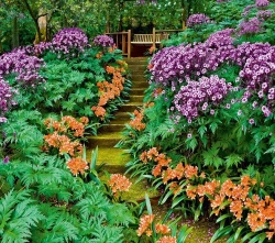 Фотообои Vostorg № 368 Зеленый парк 294х260см