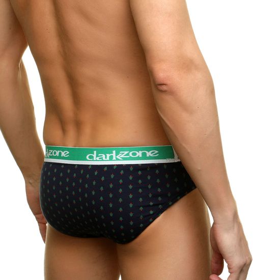 Трусы мужские слипы черные с зеленой резинкой DARKZONE DZN6317