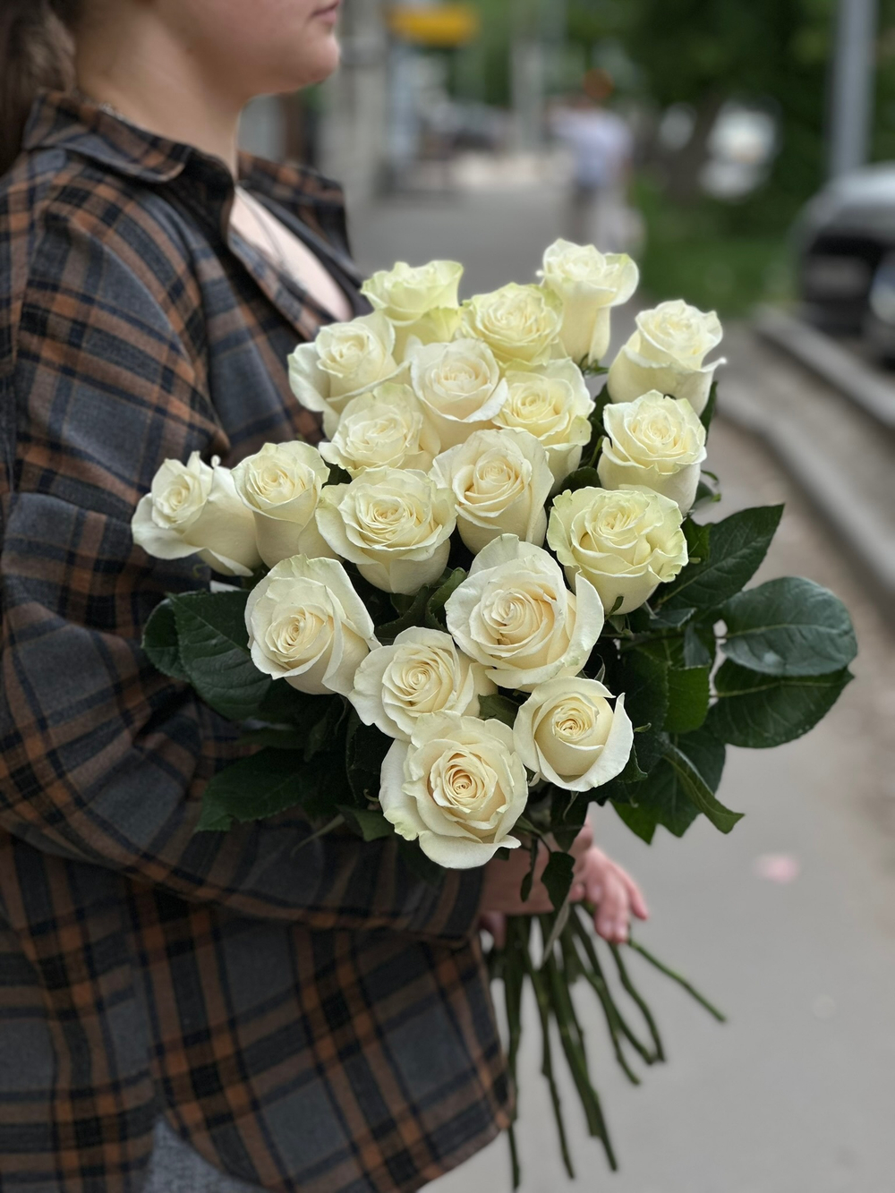 Белая роза сорт «Мондиаль» (Эквадор)