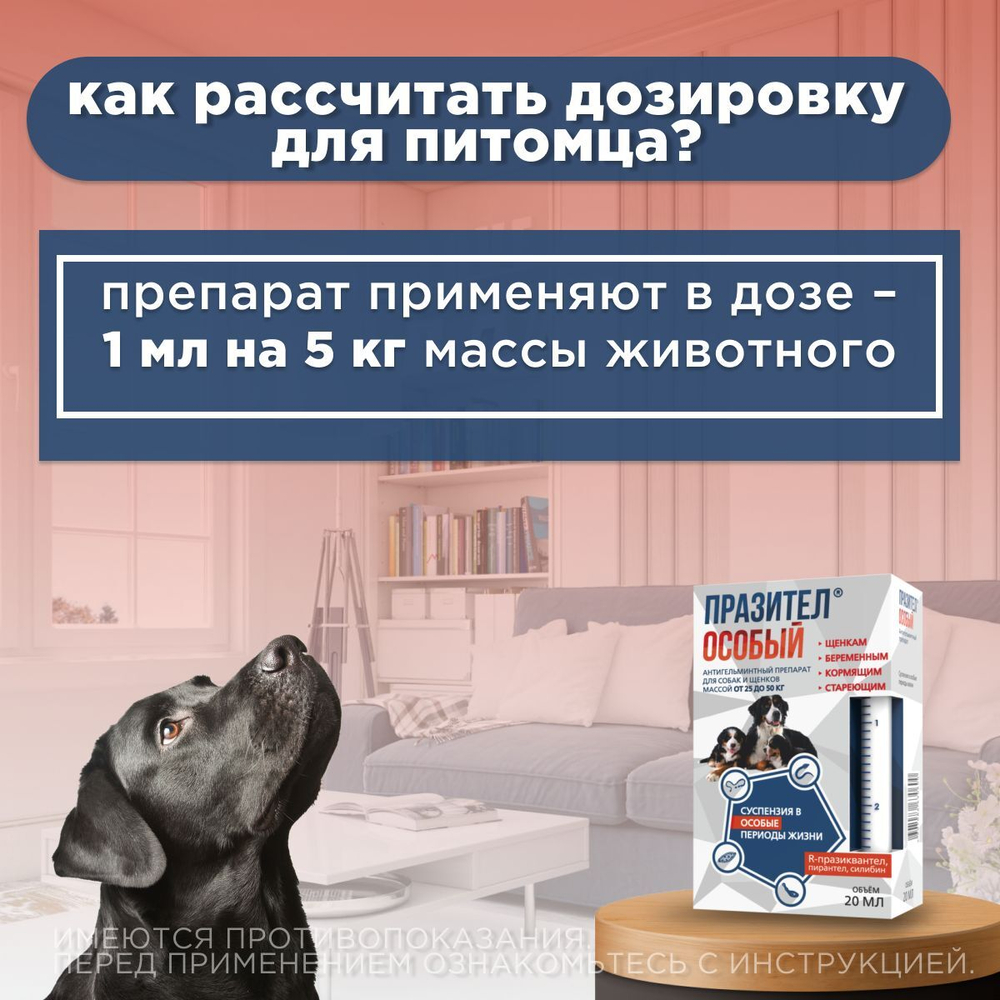 Суспензия от гельминтов для собак и щенков от 25 до 50 кг Празител Особый, 20мл. Празиквантел/Пирантел/Экстракт расторопши