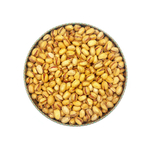 Иранские фисташки, слабосоленые премиум сорт Kalleh Ghouchi, 800 гр 170220261 Иран